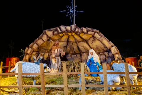 Tradicional alumbrado navideño ilumina a Santa Marta con alegría