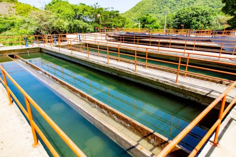Essmar realizará mantenimiento preventivo a la PTAP El Roble y lavado de tanques de almacenamiento