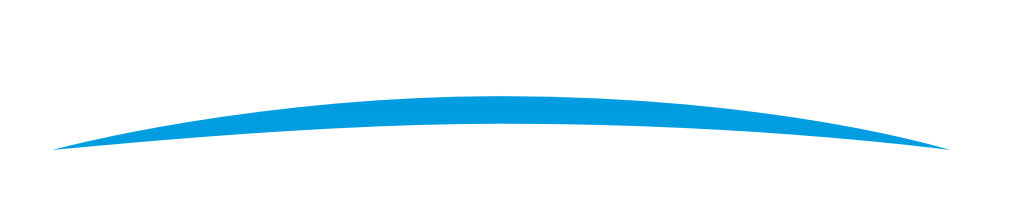 Logo ESSMAR
